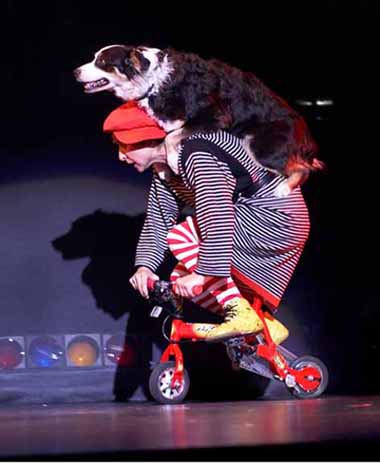 Diane Wasnak & BONZER, Busker Alley NYC 2006